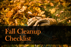 Fall Cleanup Checklist