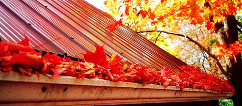 Fall Gutter Cleaning Services