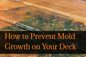 How to Prevent Mold Growth on Your Deck