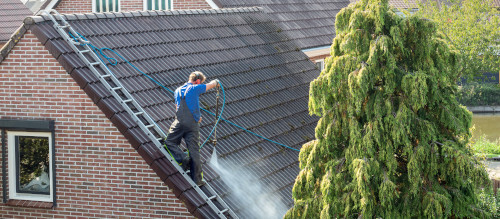 roof cleaning company